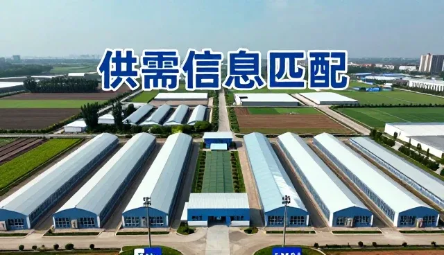 供需匹配服务如何推动商家入驻效率提升